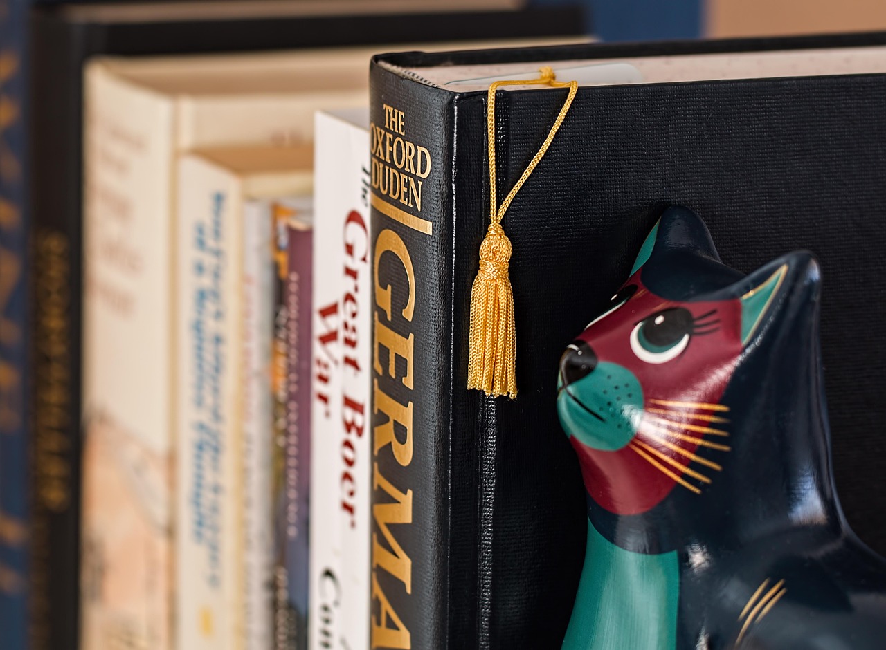 You are currently viewing 28 Unique Bookends: Cool Pieces to Organize Your Books