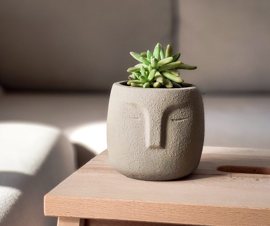 You are currently viewing 29 Unique Planters to Showcase Your Favorite Plants
